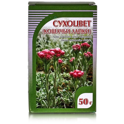 ������ ������ ����� ����� �������� (������� �����), 50 � ����