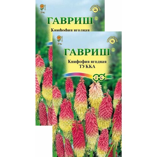 ������ ������ �������� ������� ����� (0,05 �), 2 ������ ����