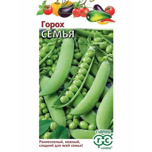 ������ ������ ����� 