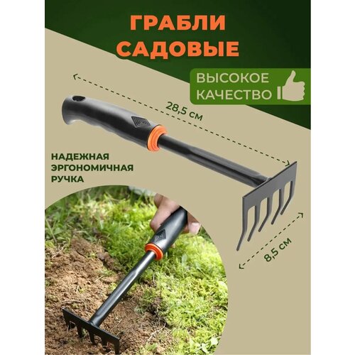 ������ ������ ������ ������� ����, ������������� �����, ����� 29��, ������ ����