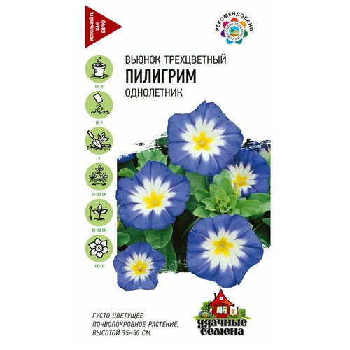 ������ ������ ������. ������ ����������� 