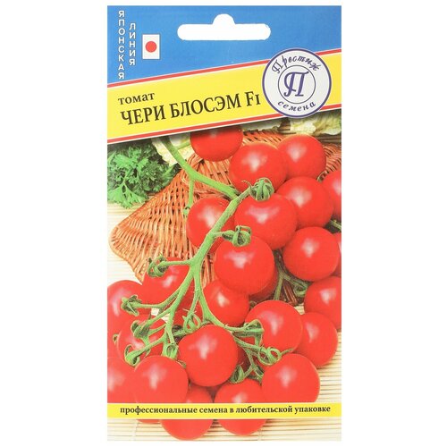 ������ ������ ������ �����-����� ����� ������ F1 ����