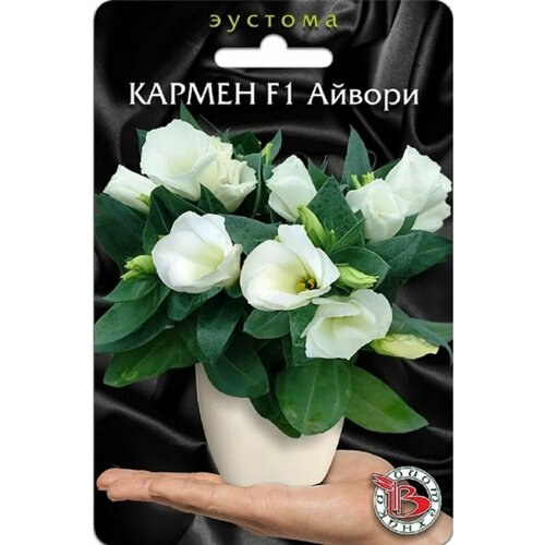 ������ ������ ������ ������� (����������) ��������� 