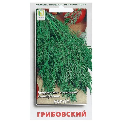 ������ ������ ������ ����� ���������� 3��. ����