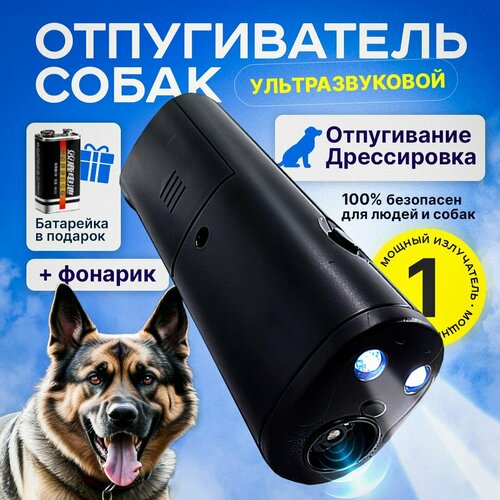 ������ ������ ������������ ����� �������������� ������, ������ �� �������� ����