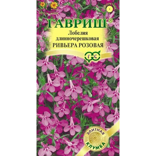 ������ ������ ������ ������� ������� ������� 4�� ��� 13�� (������) ������� ������ ����