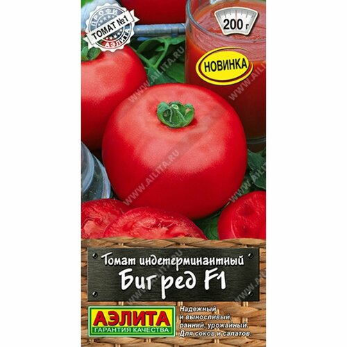 ������ ������ ������ ����� ��� ��� F1 (������) 10�� �����-������ ����