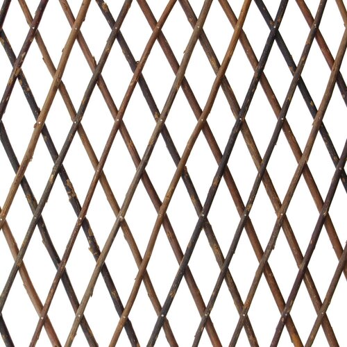 ������ ������ ������� ������������ ����