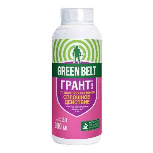 ������ ������ ���� ���� ����� �� �������� 900�� 1 �� ����