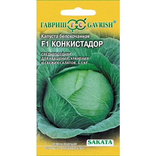 ������ ������ ������ ������� ������������ ����������� F1 10�� (������) ������ ����