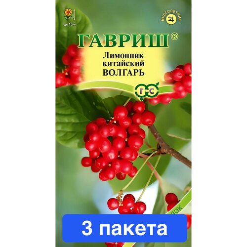 ������ ������ �������� ��������� ������� 3 ������ ����