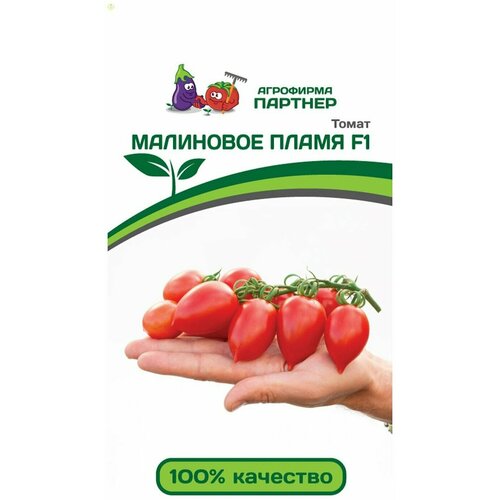 ������ ������ ����� ��������� ����� F1 ����