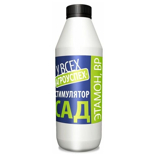 ������ ������ ��������� ��������� ������ ��, 0.5 �, 500 �, 1 ��. ����