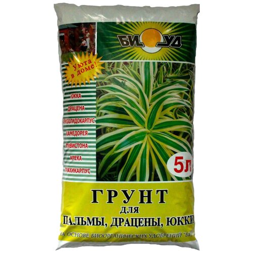 ������ ������ ����� ���� ��� ������, �������, ����, 5 �, 2.35 �� ����