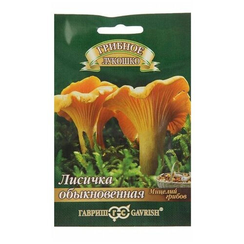 ������ ������ ������ ������� ������� ������� �� �������� ��������� 15 �� ����