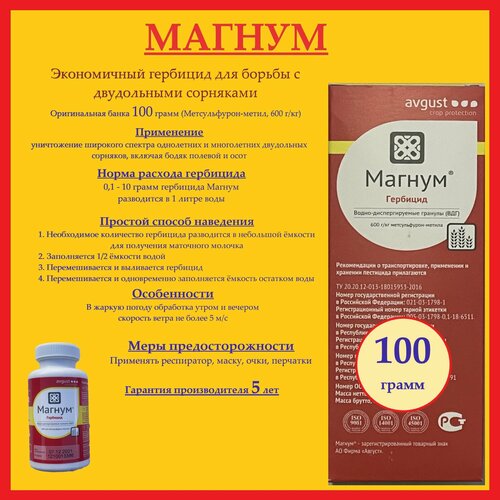 ������ ������ �������� ������ �� ��������, ����� 100 ����� ����