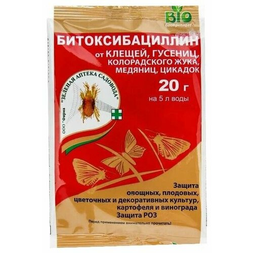 ������ ������ �������� ���������������, � (20 ��) ����