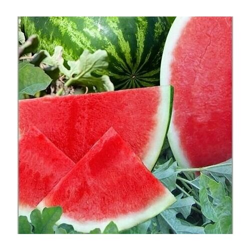 ������ ������ ������ ������ 