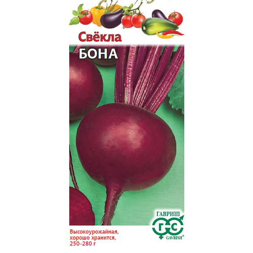 ������ ������ ������ ������ ���� 2� �������� (������) ����