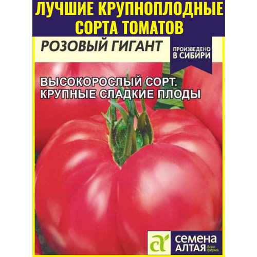 ������ ������ ������ ���������������� ������ ������� ������ - 0,1 �. �������� �������� �������� ����