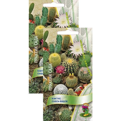 ������ ������ ������ ����� ����� (0,1 �), 2 ������ ����