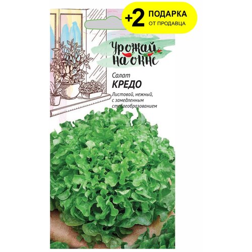 ������ ������ ������. ����� 