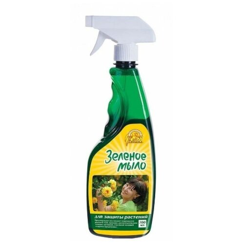 ������ ������ ������� ���� ����� 700�� ��-�� ������ �������� ����