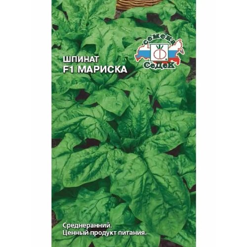 ������ ������ ������ 