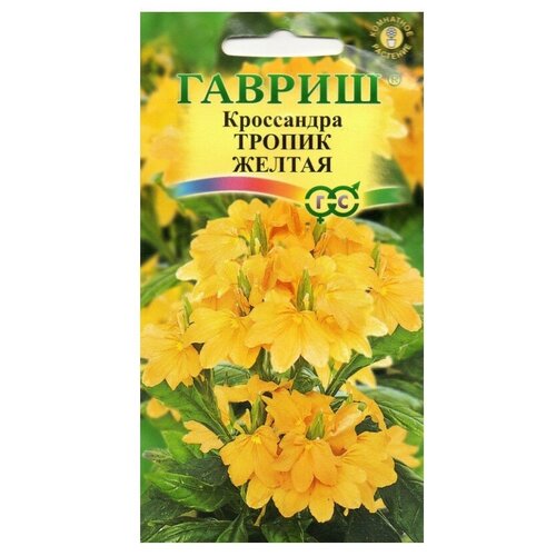 ������ ������ ������ ������ ���������� ������ ������ 3 ��. ����