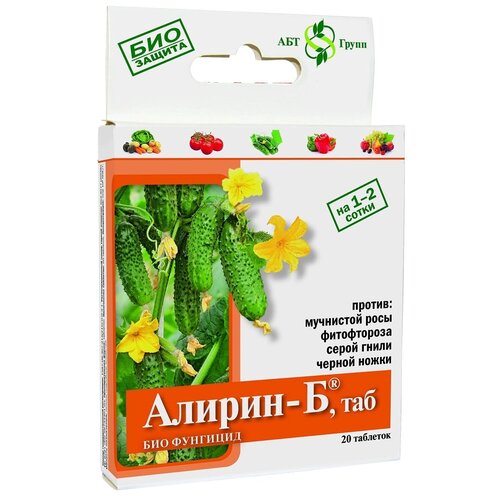 ������ ������ ����������������� ���-�������� ������-� ���, 20 ��. � 4 � ����