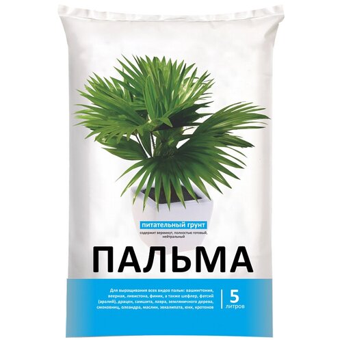 ������ ������ ����� ���-���� ��� ������, 5 � ����