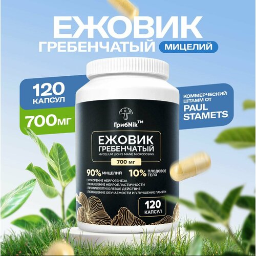 ������ ������ ������ ����������� Lions Mane ������� ������� 120�� 700�� ����