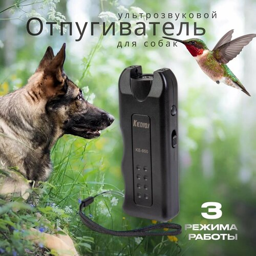 ������ ������ �������������� ������������ GrekAri ��� ����� ����