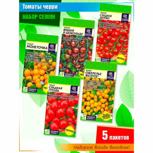 ������ ������ ����� ����� ������� ����� �� �������� ������ ����� (5 �����) ����