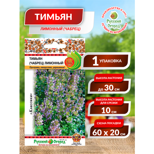 ������ ������ ������. ������ (������) 