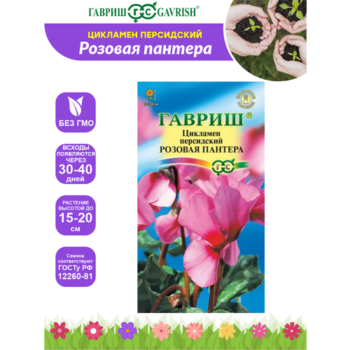 ������ ������ ������ �������� ������� ������� ���������� 3 ��. ����