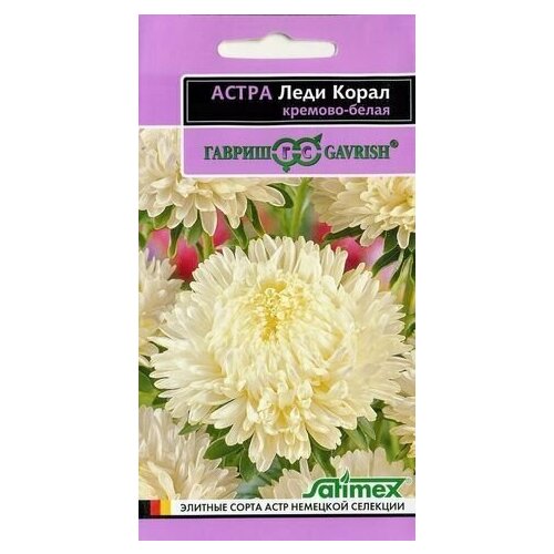 ������ ������ ������ ����� ���� ����� �������-�����, ����������, 0,1�, ������ ����