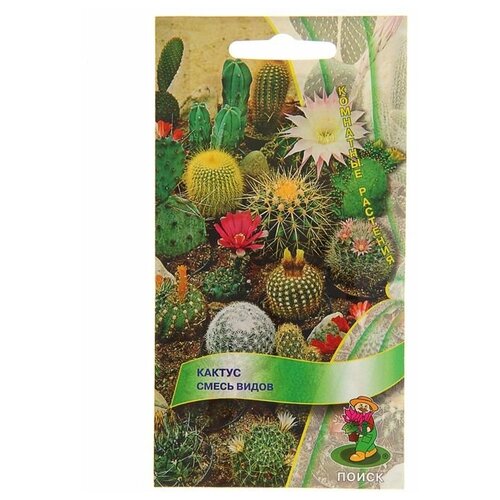 ������ ������ ������ ��������� ������ ������ 