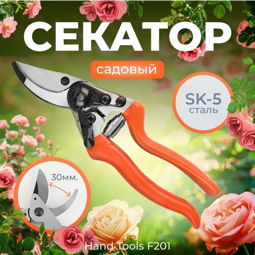 ������ ������ ������� ������� 