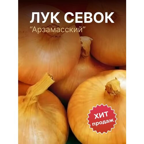 ������ ������ ��� ����� �� ������� 