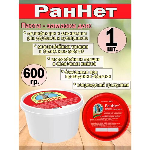 ������ ������ �����-������� ������ 600 ��. ����