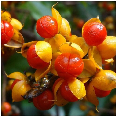 ������ ������ ������ ������ ���������� ������������� 30 ��. ����