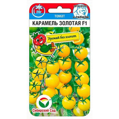 ������ ������ ����� ����� �������� ������� F1 ����