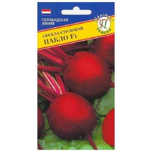 ������ ������ ������ ������ ����� F1 1� �������� (�������) ����