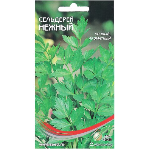 ������ ������ ��������� �������� ������, 1600 ����� ����