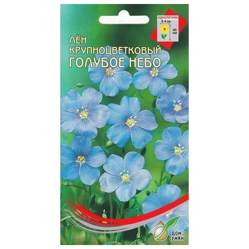 ������ ������ ˸� ��������������� ������� ����, 25 ����� ����