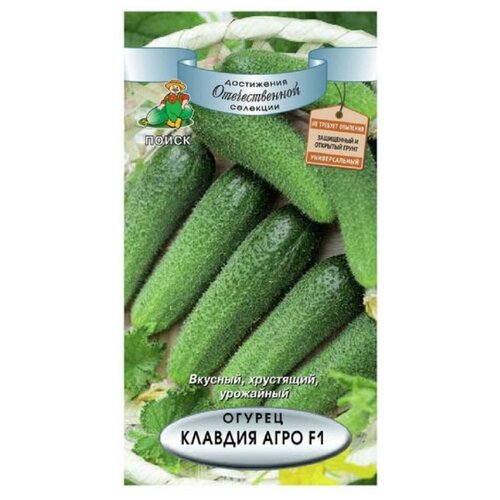 ������ ������ ������ ����� ������ ������� ���� F1 12 ��. ����