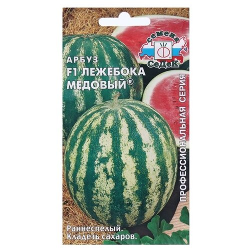 ������ ������ ������ ����� ����� �������� ������� F1 ����