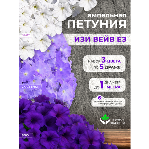 ������ ������ ��������� ������� ���������������� ������ ��� ���� �3 ����, ���� ���, ��� �� 5 ����� ����