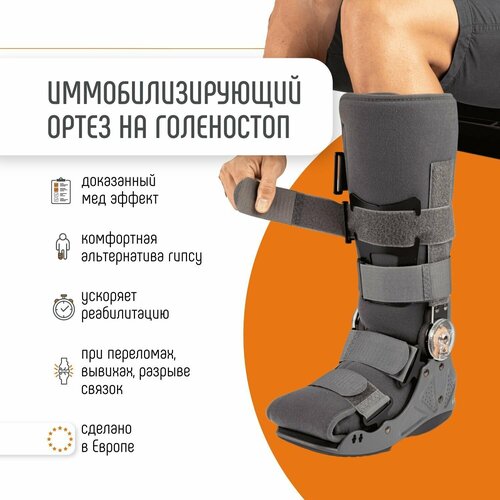 ������ ������ Orliman ����� ������������� EST-086, ������ 2, ������36 ��, ����� ����